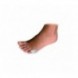 HerbiFeet protector juanete 5&ordm;dedo de sastre 1ud