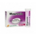 Vallesol Magnesio + Calcio + Isoflavonas 24 Comprimidos Masticables