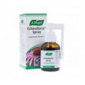 Echinaforce® spray 30ml