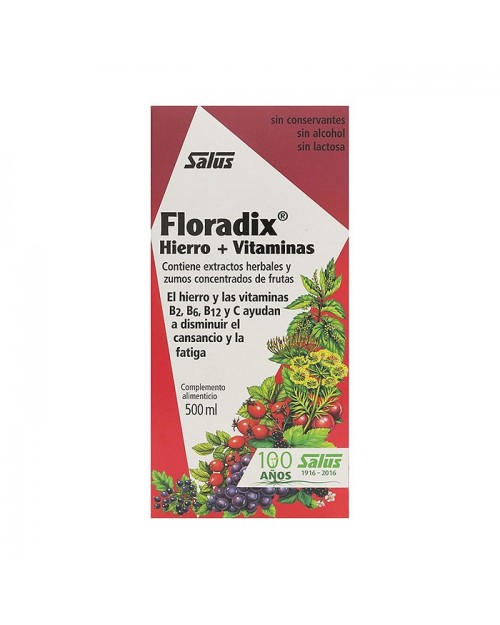 Floradix® 500ml