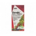 Floradix® 500ml