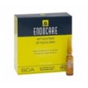 Endocare Flashrepar 7amp